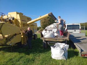 Wildflower harvest