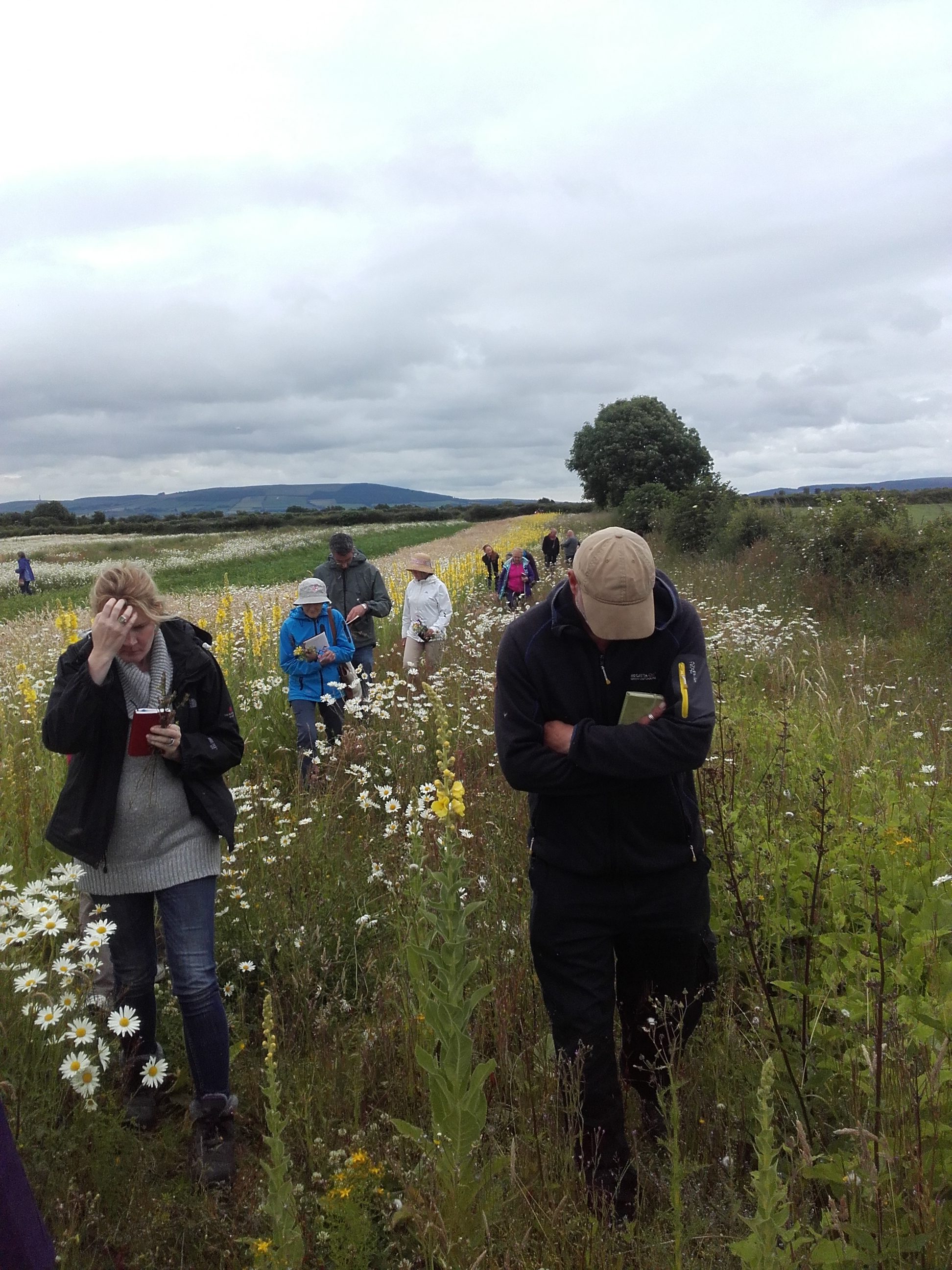 Seed House Open Day