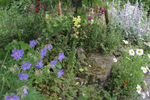 Authors-Wildflower-Garden