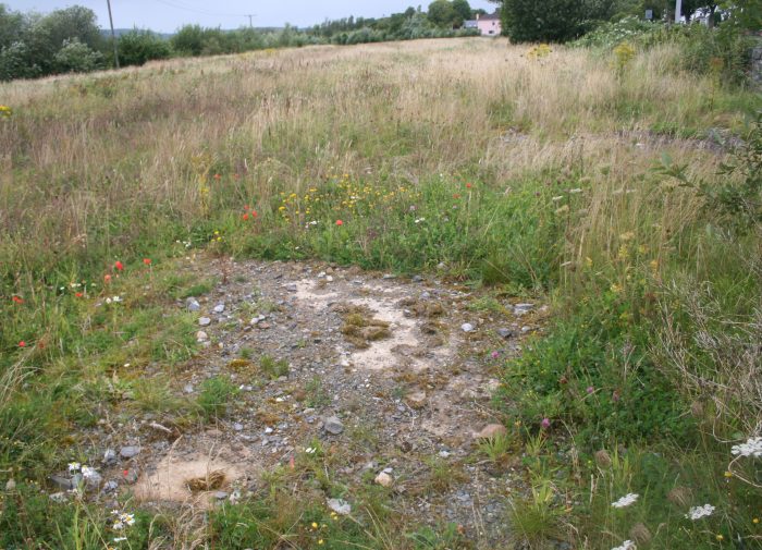 Patchy germination? Get Help with FAQ's